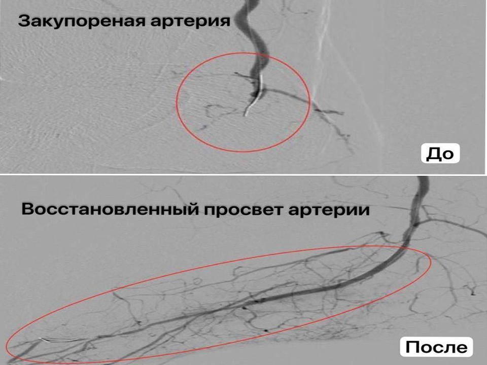 Фото: Министерство здравоохранения Московской области