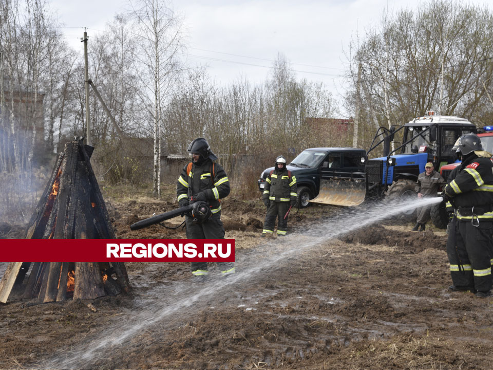 Фото: Владимир Останин