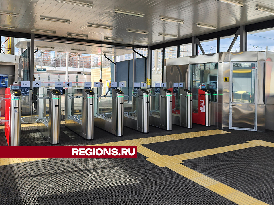 Фото: REGIONS/Роман Савельев