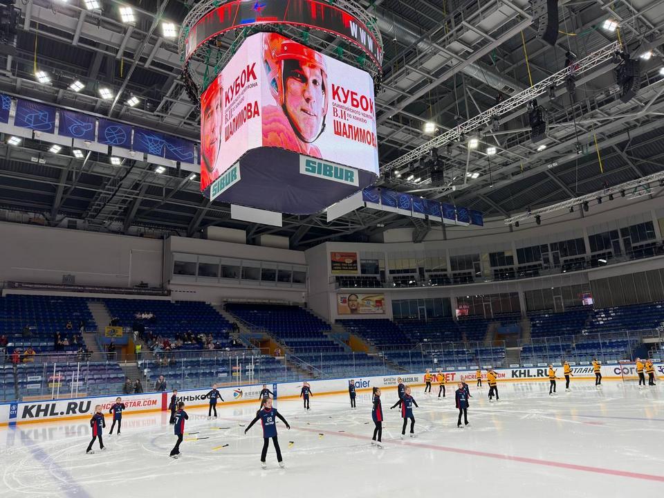 Фото: Пресс-служба министерства физической культуры и спорта Московской области