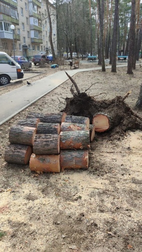 Фото: пресс-служба администрации Протвино