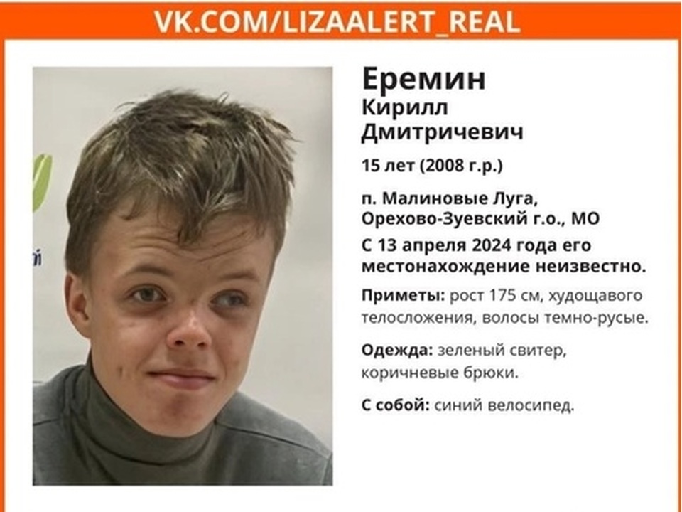 Фото: поисковый отряд «Лиза Алерт»