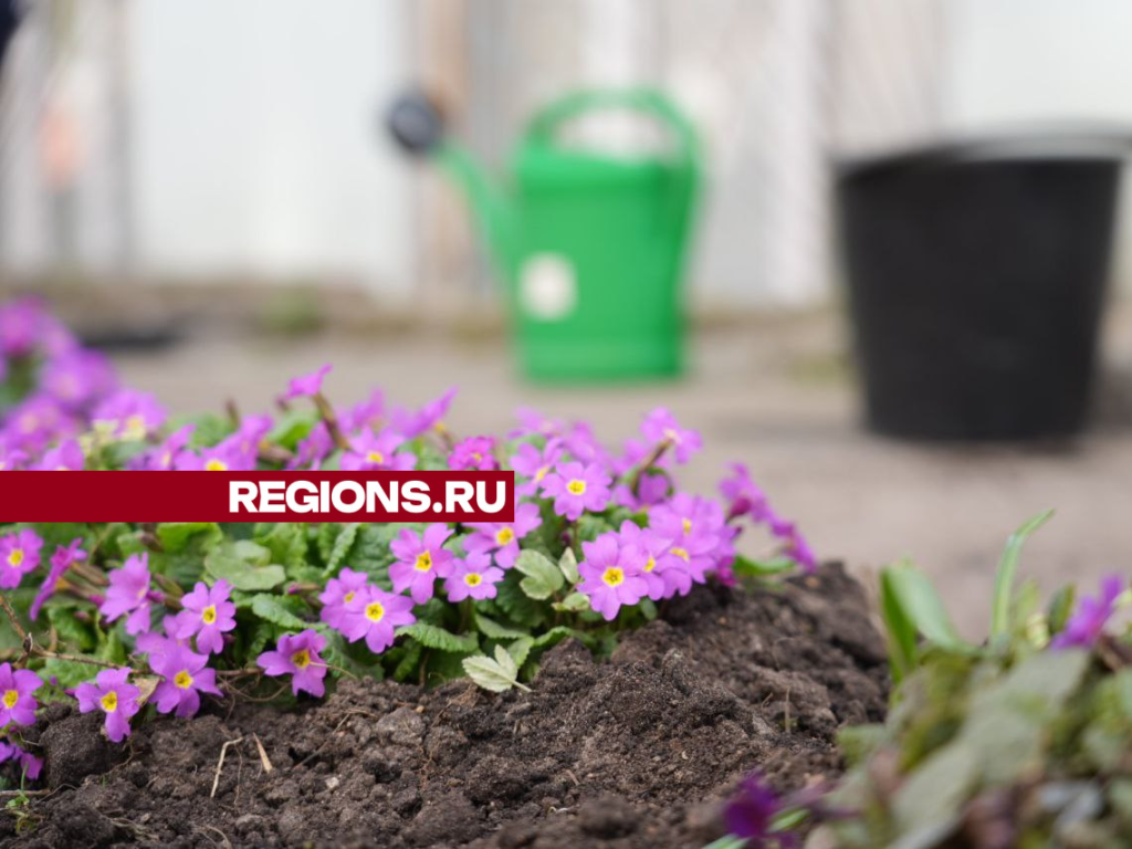 Фото: REGIONS/Дарья Леонова