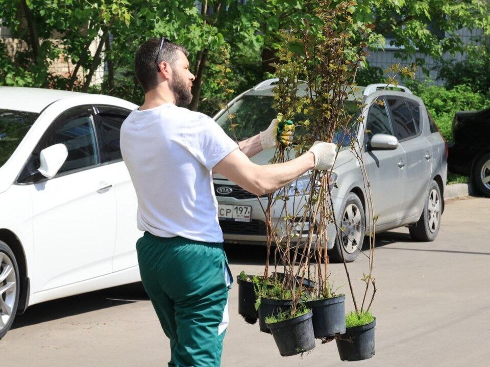 Фото: Алексей Грызлов