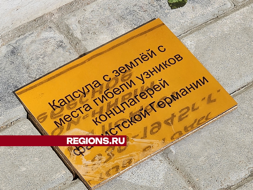 Фото: REGIONS/Роман Савельев