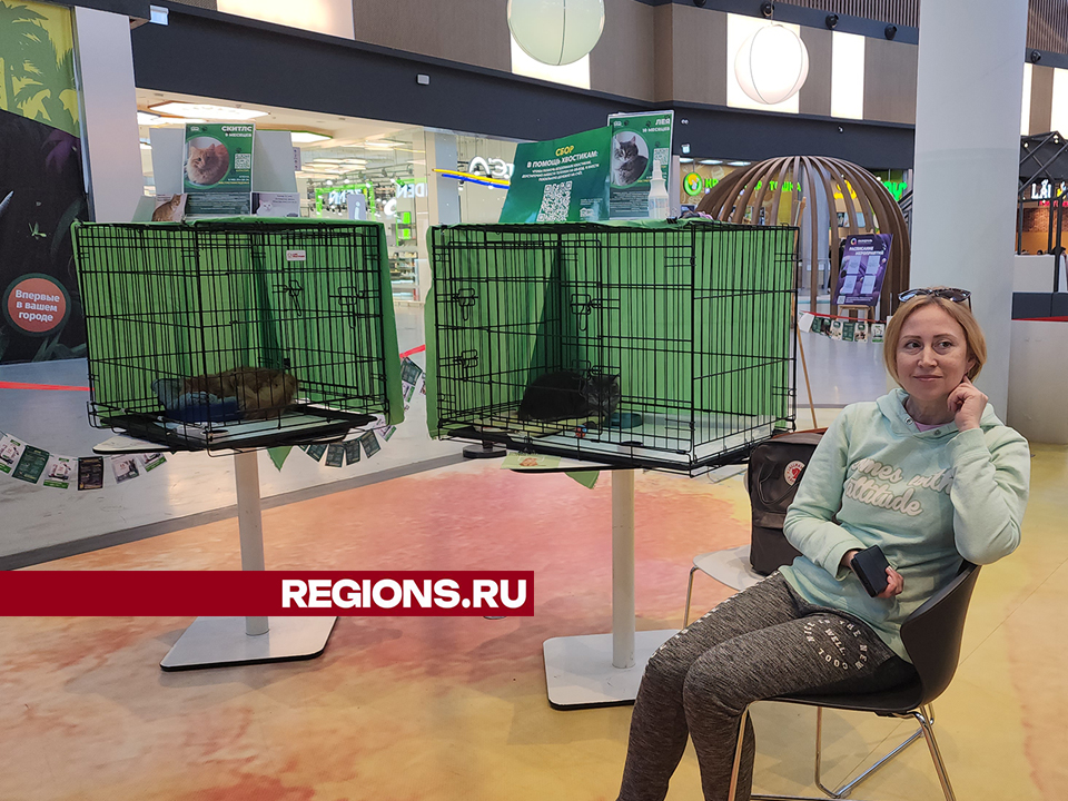 Фото: REGIONS/Ольга Шеметова