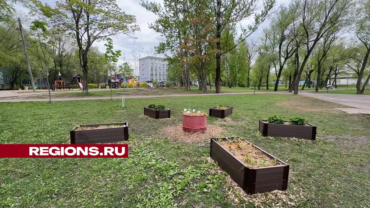Фото: Ксения Казакова