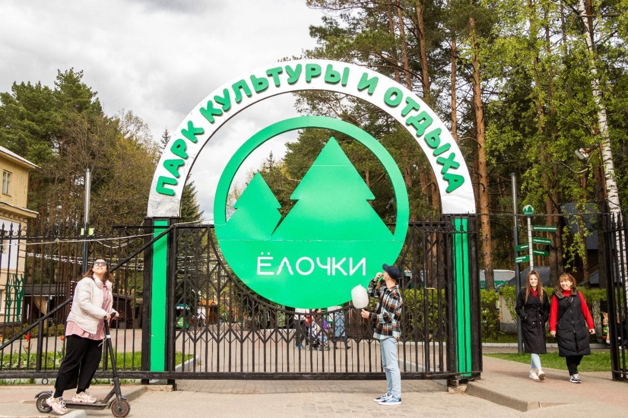 Мед елочки домодедово
