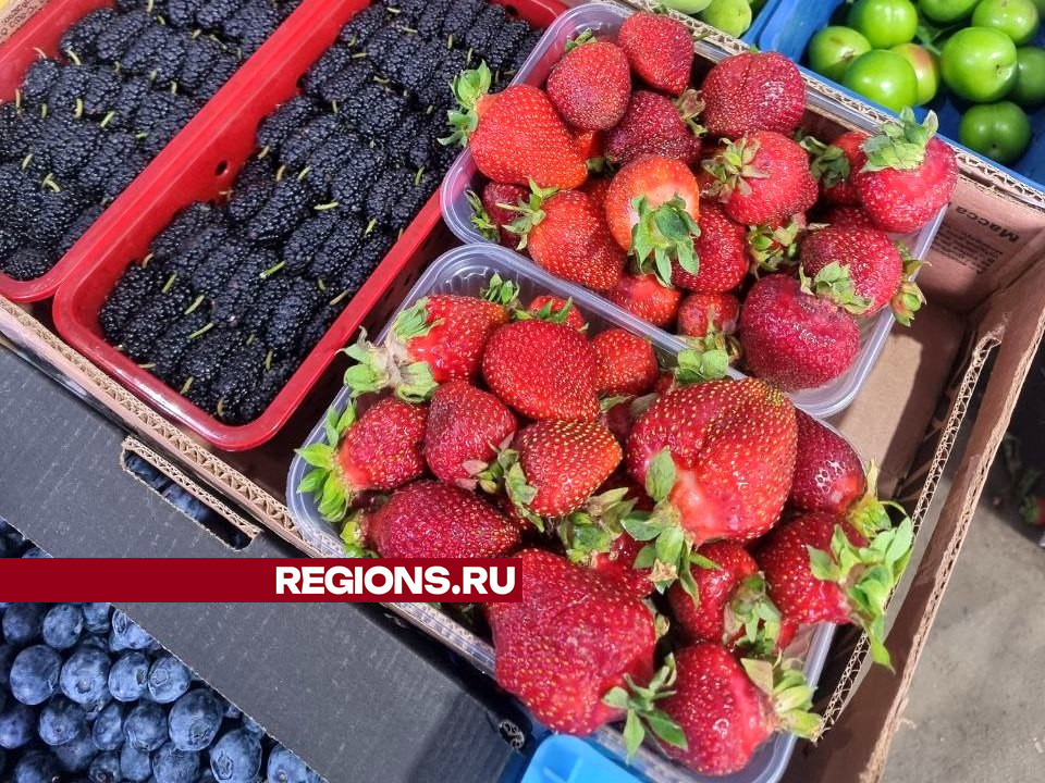 Фото: REGIONS/Юлия Алабина