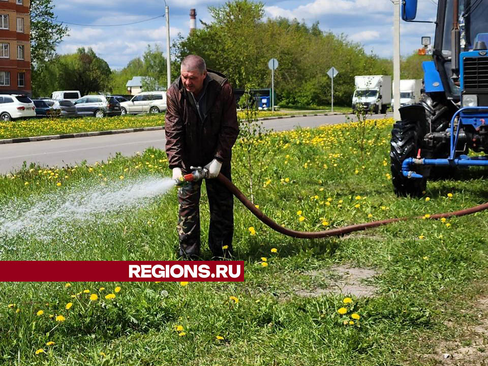 Фото: Валерия Тингаева