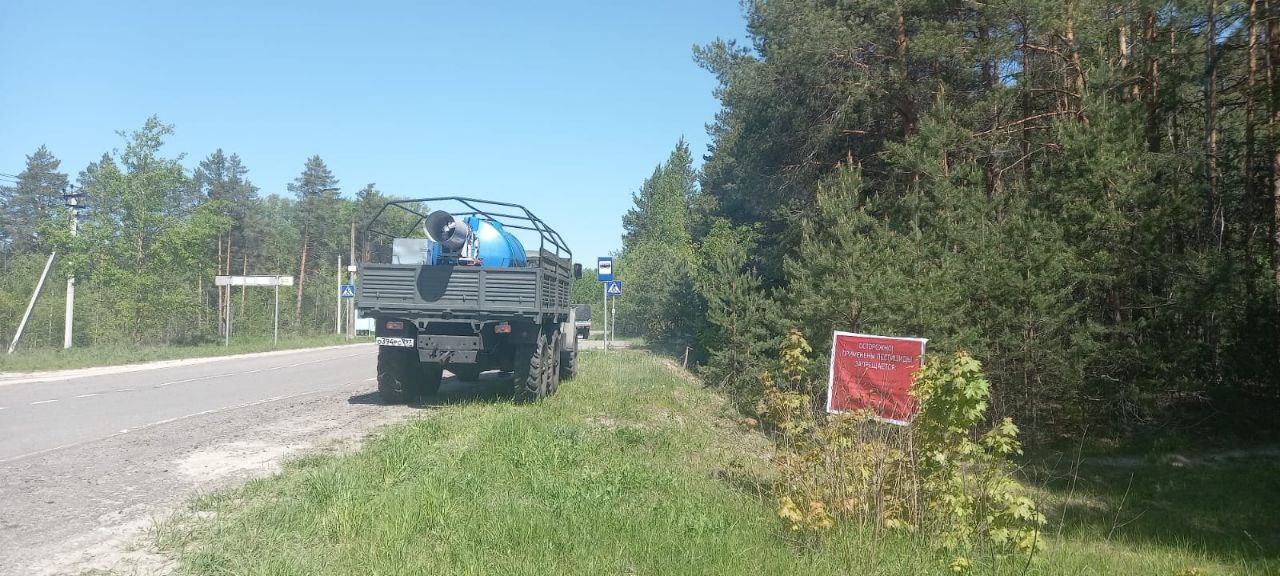 Фото: Комитет лесного хозяйства Московской области