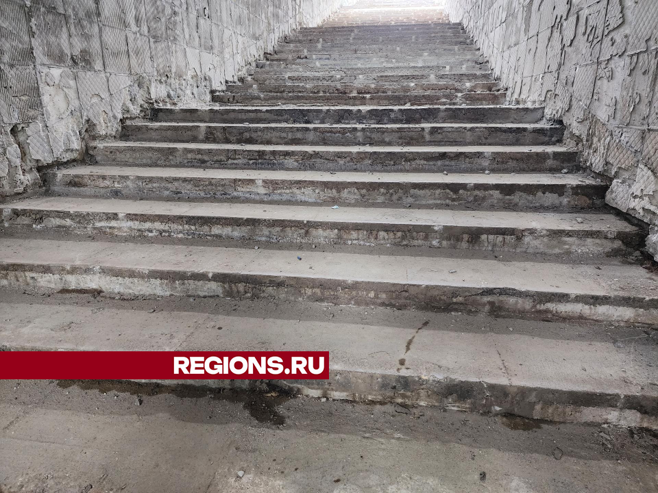 Фото: Роман Савельев