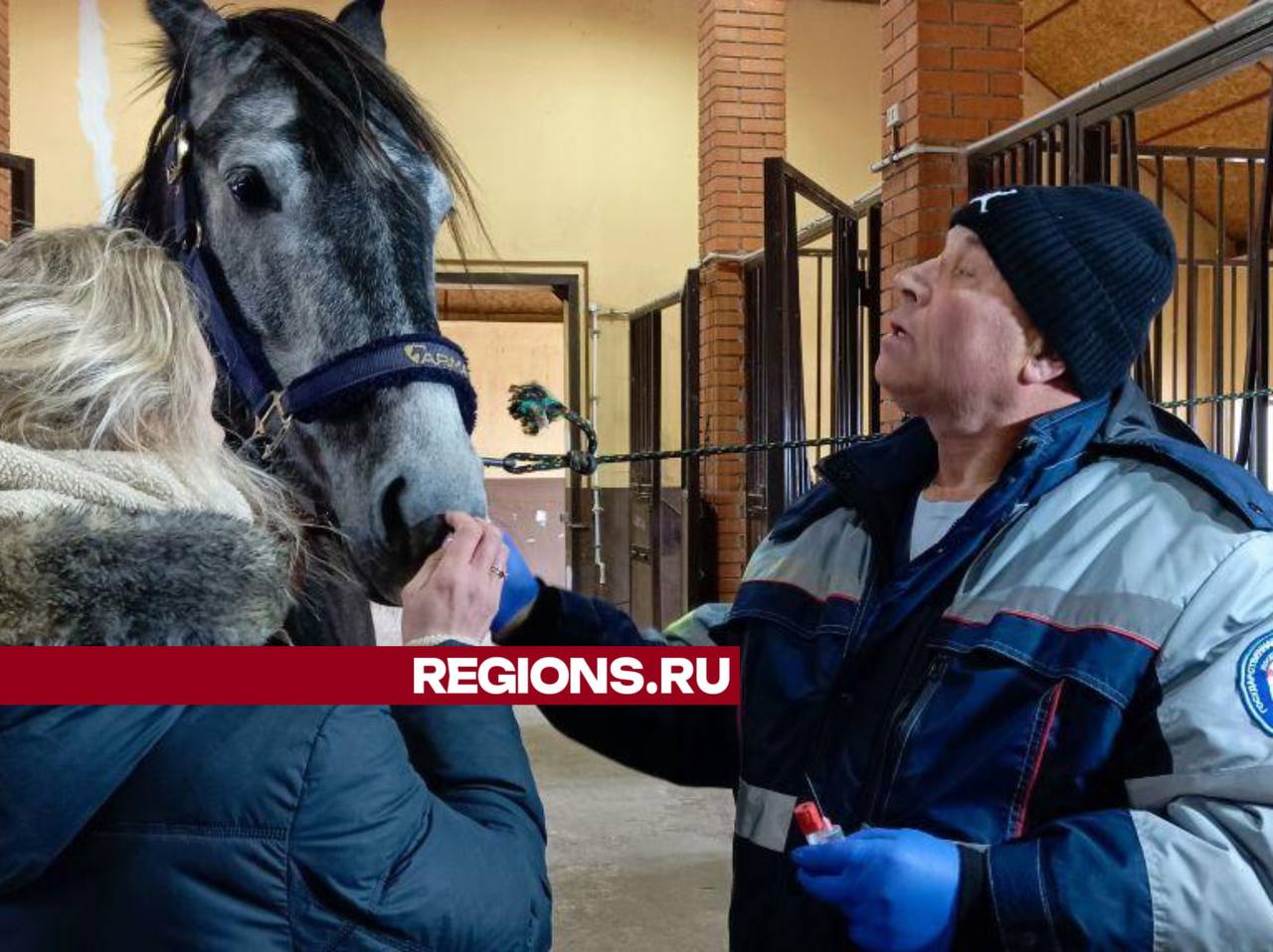 Фото: Евгений Рой