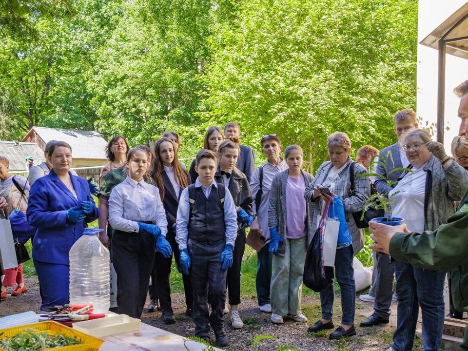 Фото: Комитет лесного хозяйства Московской области