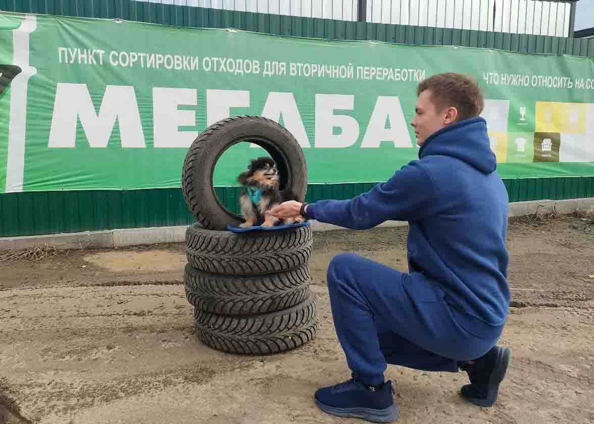 Приз за старые покрышки и креативность могут получить зарайцы на площадке  «Мегабак» | REGIONS.RU / Зарайск