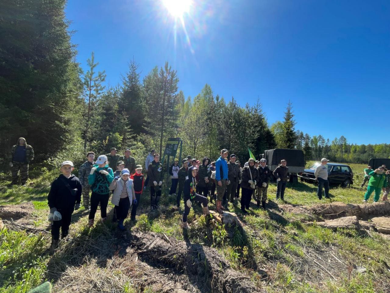 Фото: Талдомский филиал ГКУ МО «Мособллес»