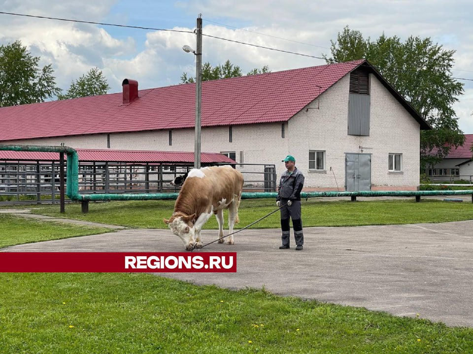 Фото: Мария Андрюхина