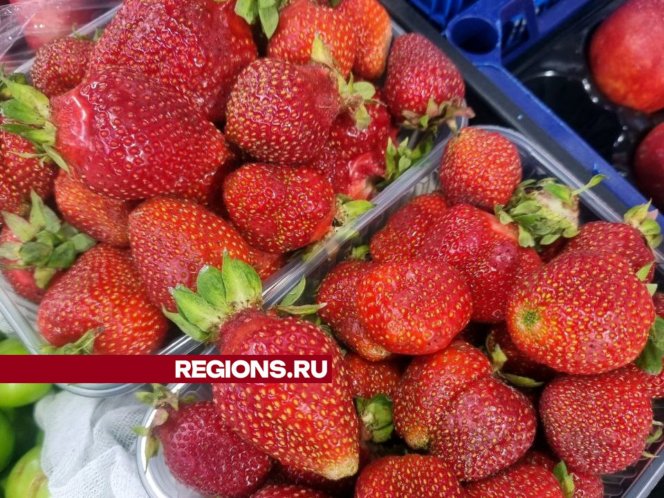 Фото: REGIONS/Юлия Алабина