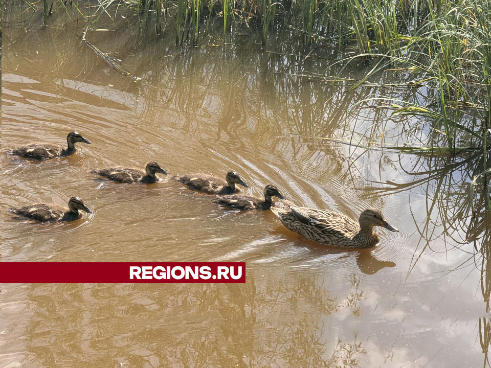 Фото: Татьяна Рунова