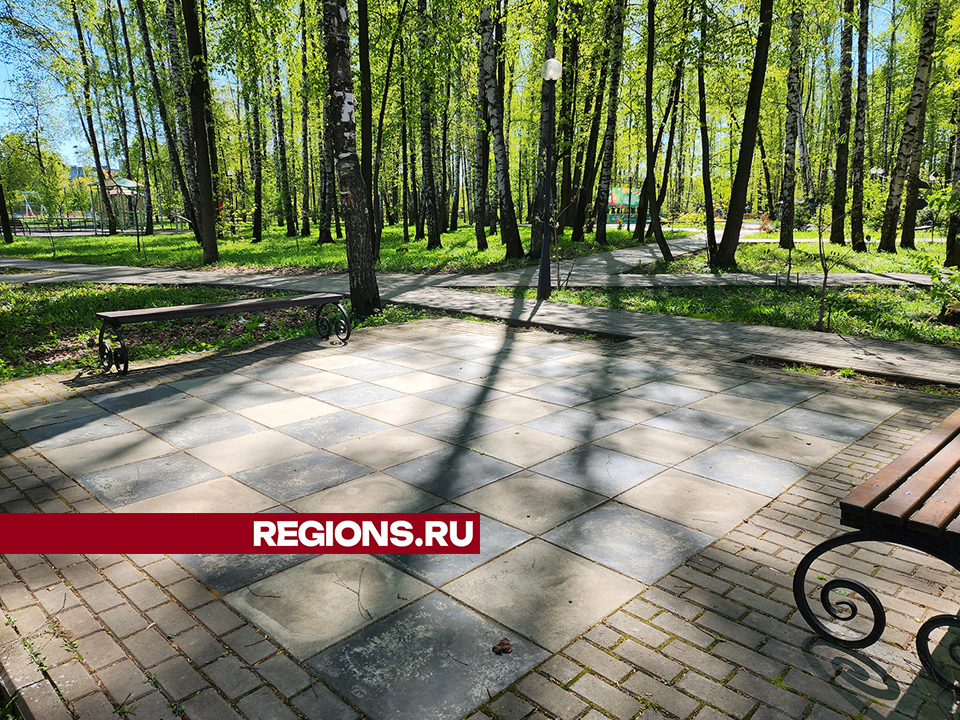 Фото: REGIONS/Роман Савельев