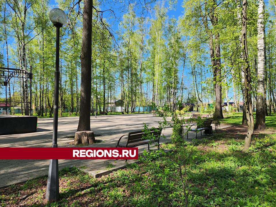 Фото: REGIONS/Роман Савельев