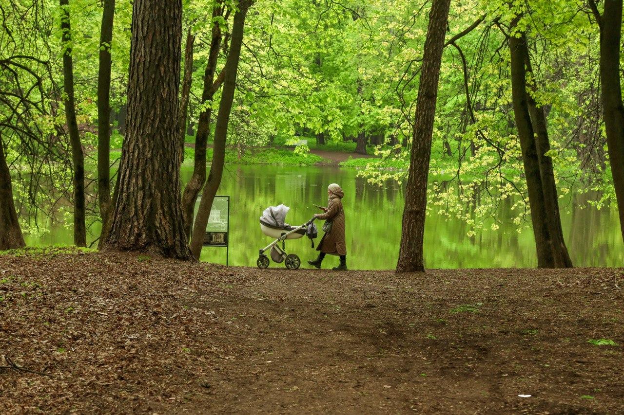Фото: Раменский медиацентр