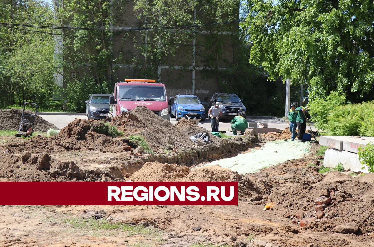 Фото: Василий Тремасов