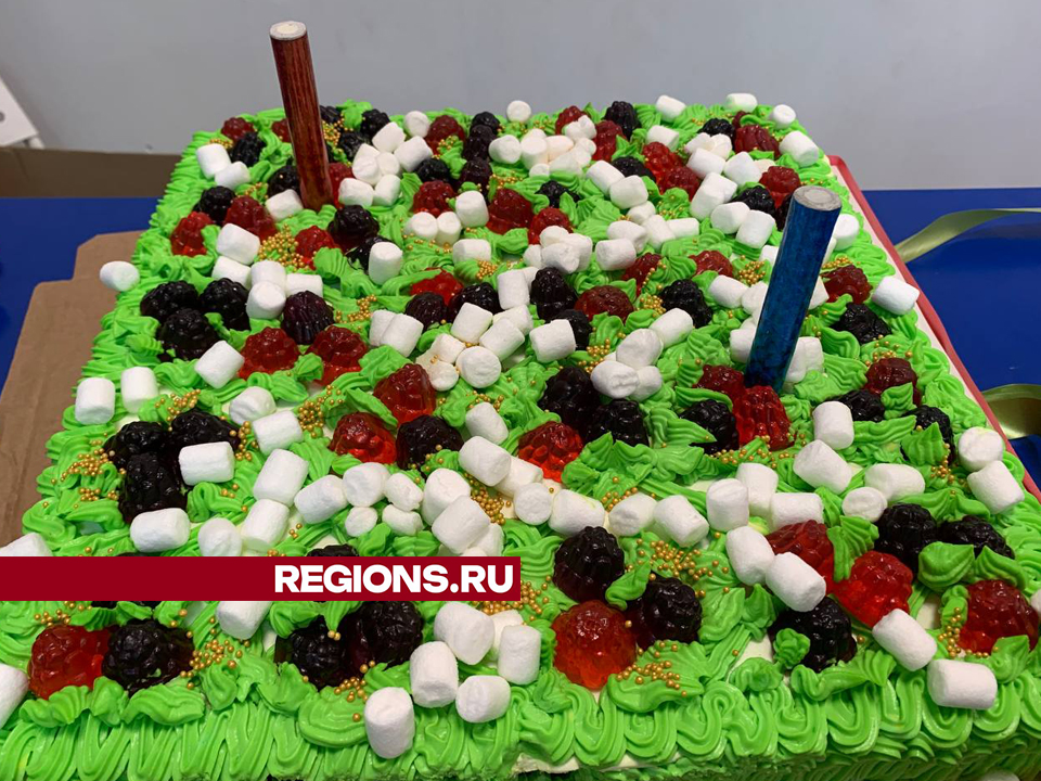 Фото: REGIONS/Ольга Шеметова