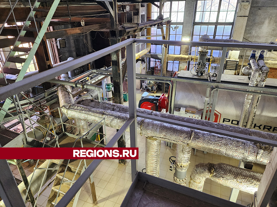 Фото: REGIONS/Екатерина Мелкозерова