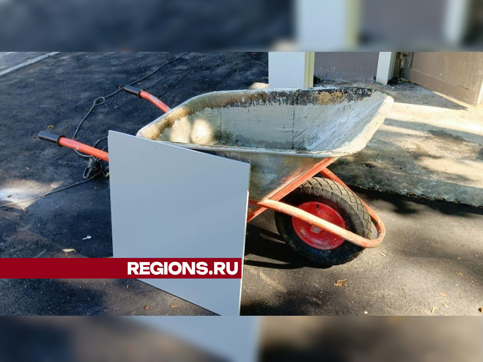 Фото: Евгений Рой