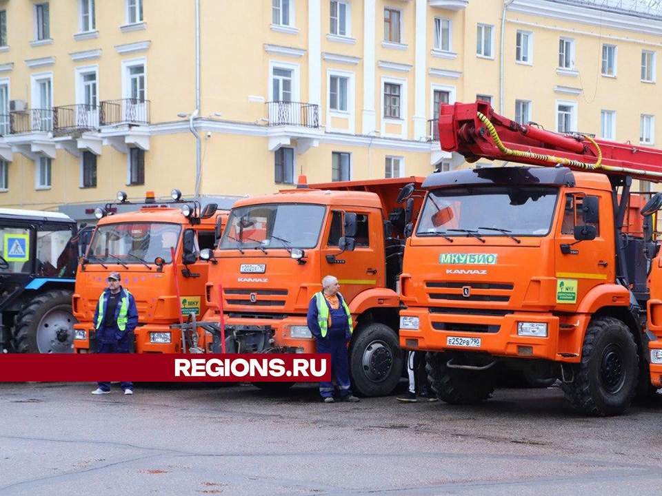 Фото: Светлана Плотникова