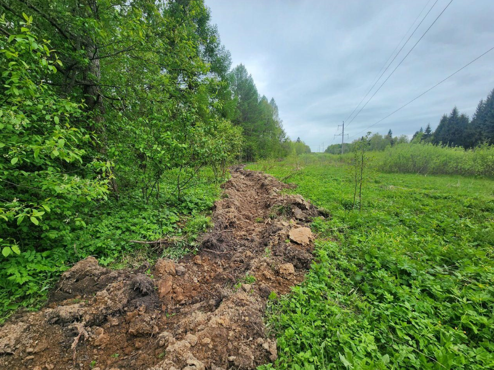 Фото: Яна Шаливская