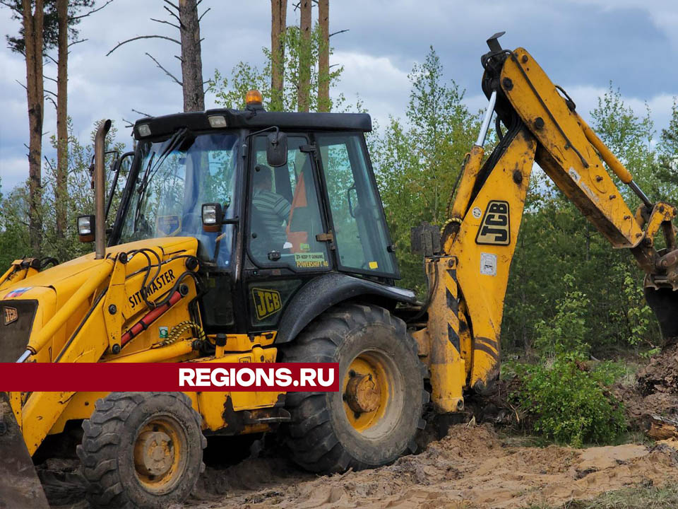 Фото: Валерия Тингаева