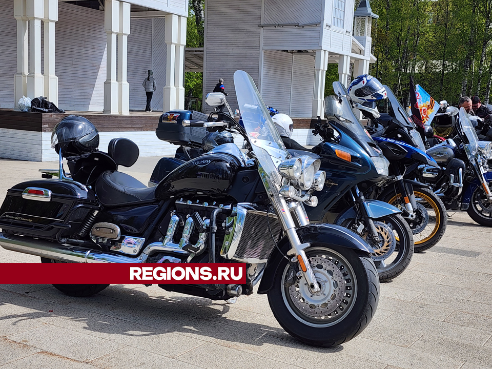 Фото: REGIONS/Роман Савельев