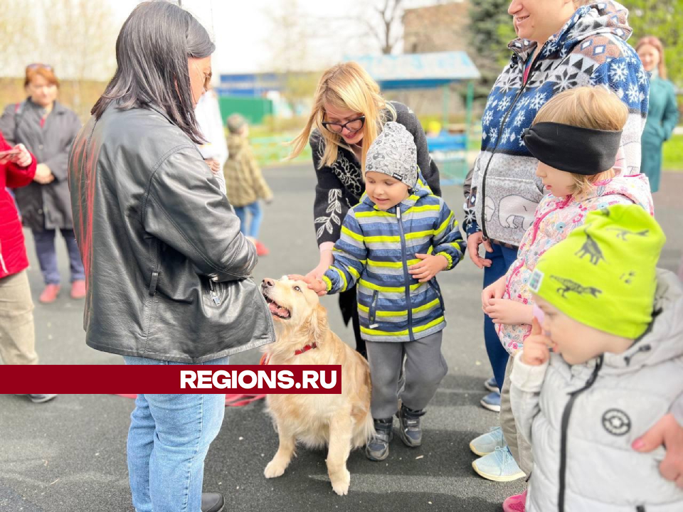 Фото: Ольга Шеметова