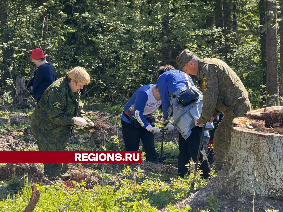 Фото: Татьяна Рунова