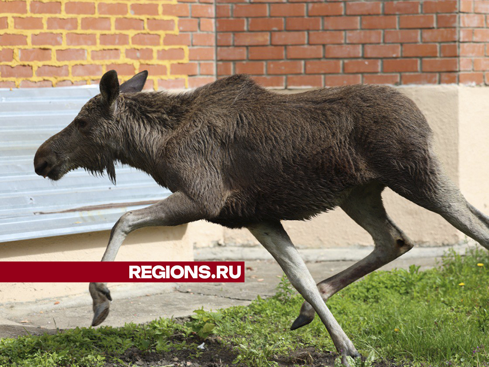 Фото: Ольга Пятикрестовская