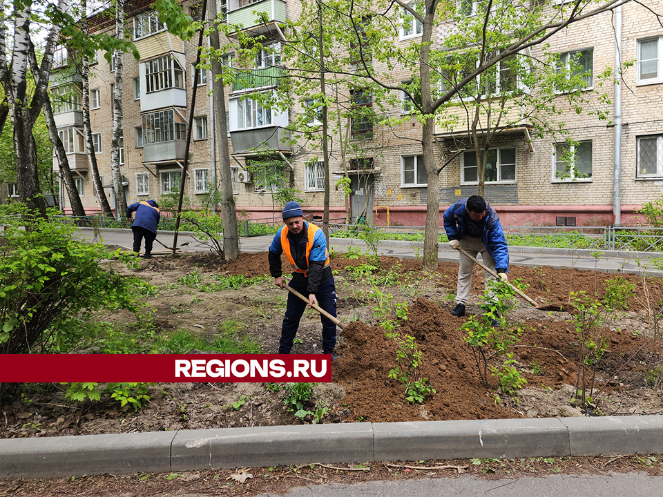 Фото: REGIONS/Ольга Шеметова