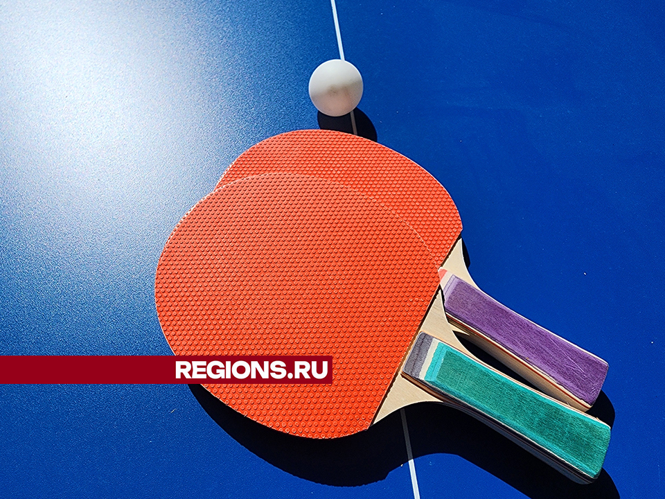 Фото: REGIONS/Екатерина Мелкозерова