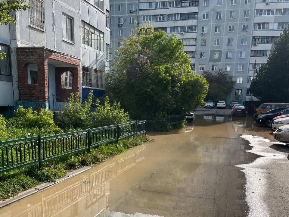 Фото: соцсети