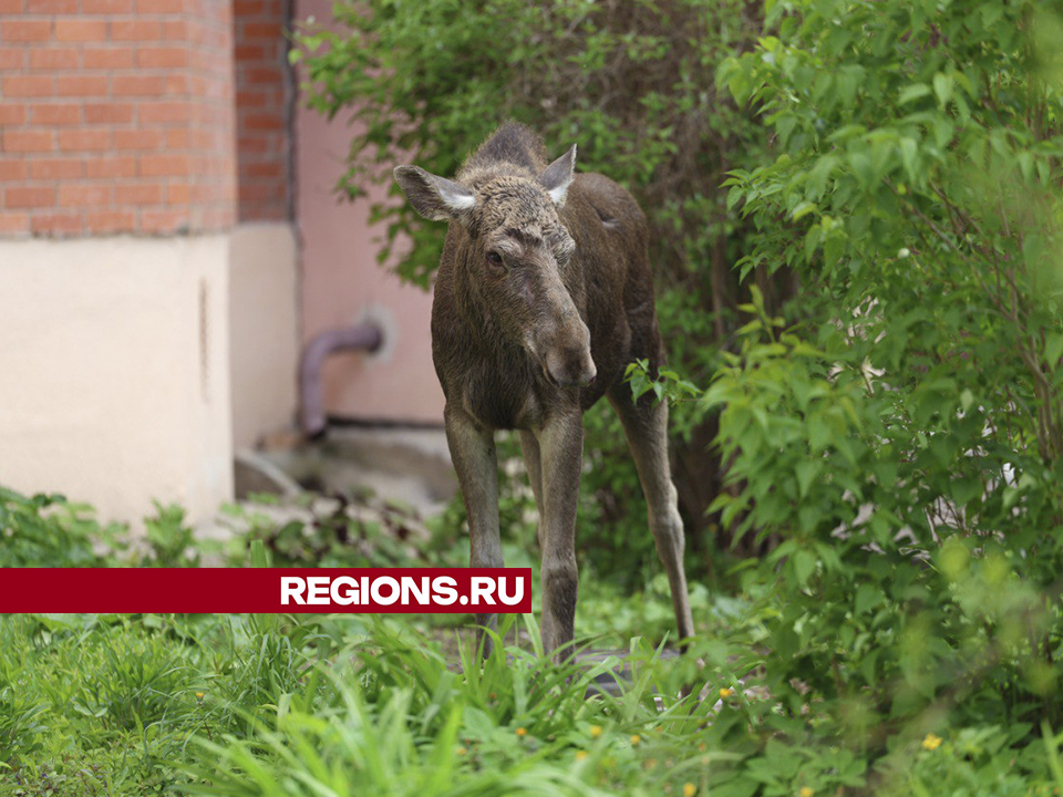 Фото: Ольга Пятикрестовская