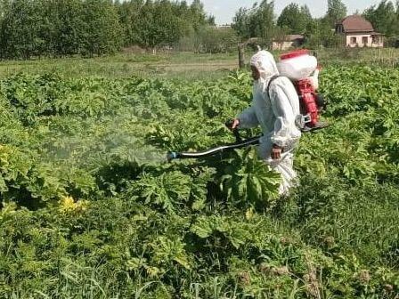 Фото: администрация г.о. Егорьевск