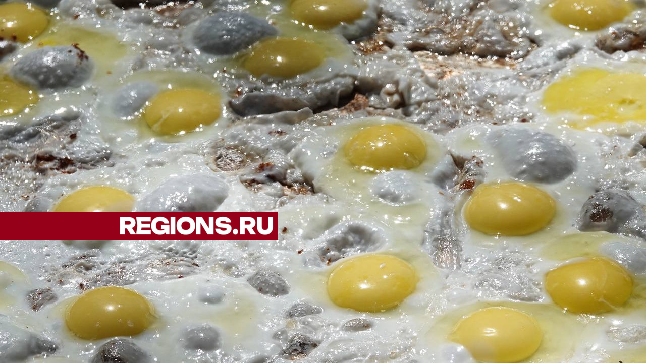 Фото: REGIONS/Дарья Леонова