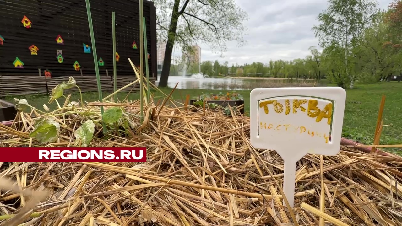 Фото: Ксения Казакова