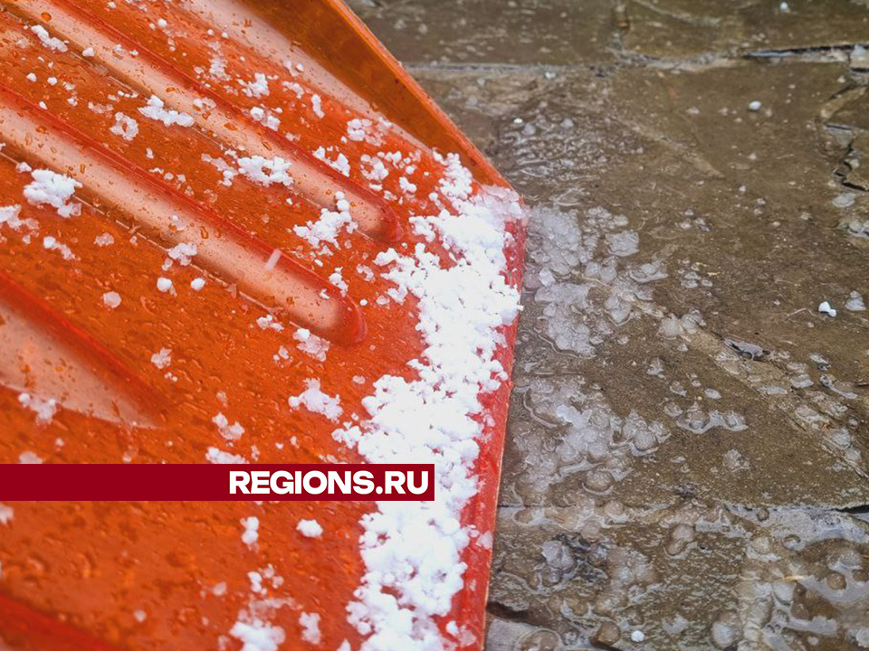 Фото: REGIONS/Ольга Егиян