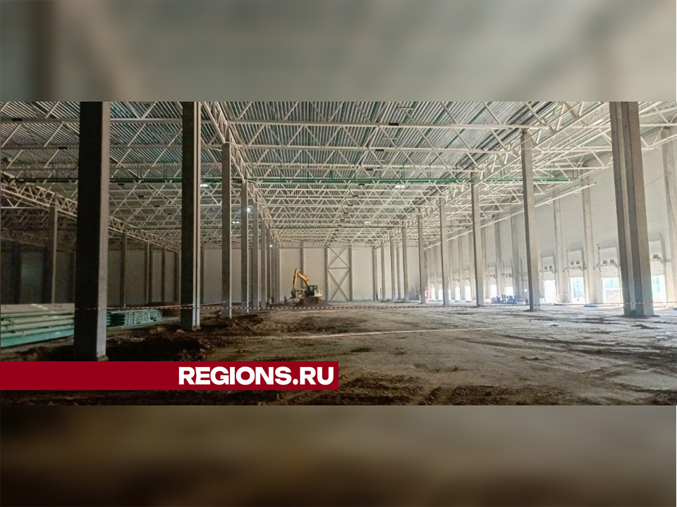 Фото: Евгений Рой