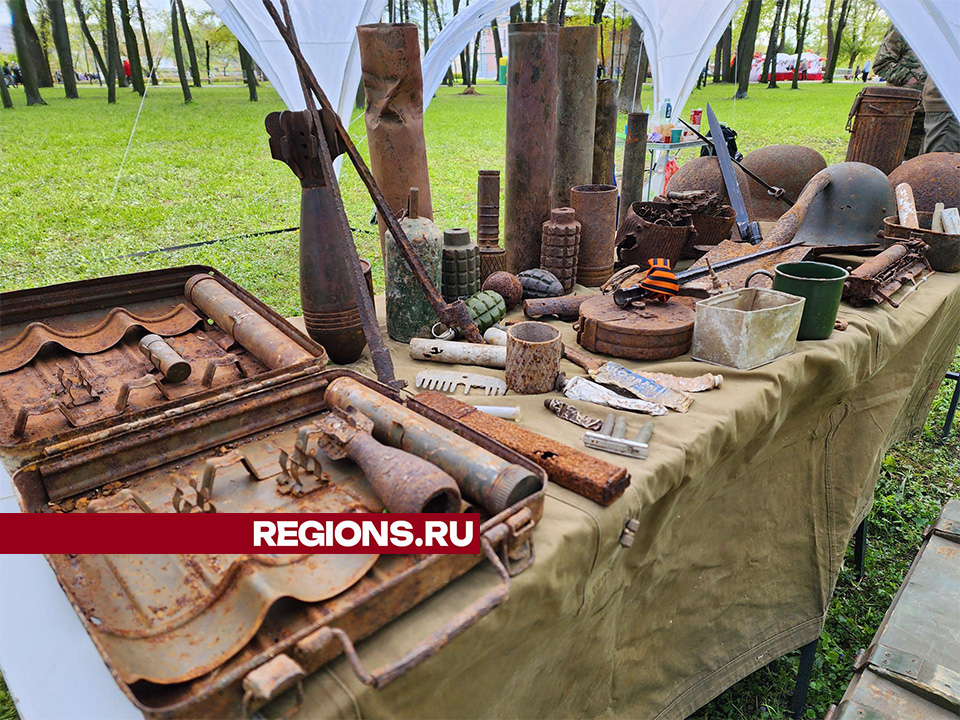 Фото: Светлана Плотникова