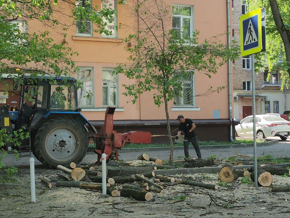 Фото: Наталья Лымарь