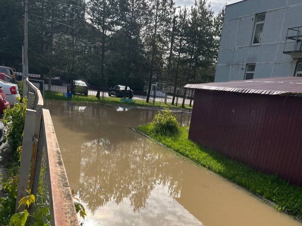 Фото: соцсети