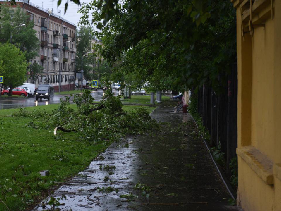 Фото: Медиаархив Подмосковья